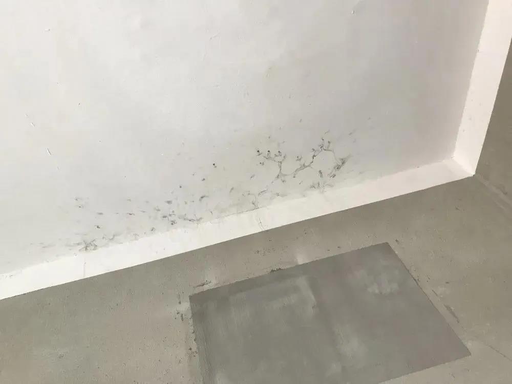 外墻外保溫這么好，不能只有我知道！